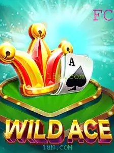 Explorando o Mundo de WildAce